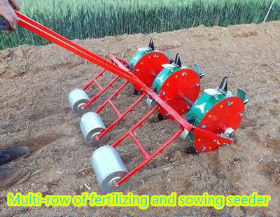 Impulso da mão que cultiva o plantador da semente do milho do GV do equipamento das ferramentas para a planície
