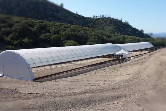 A estufa Muitl do filme do PE do polietileno mede a aplicabilidade forte 200 mícrons