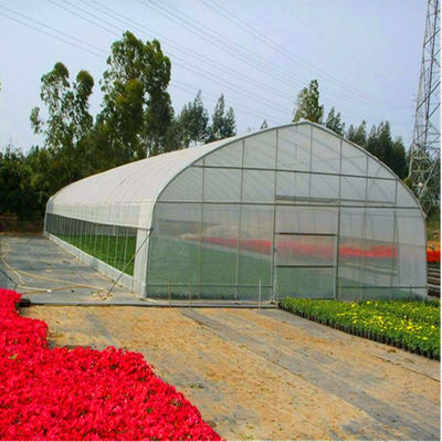 Tipo econômico casa verde vegetal da única estufa do filme do PE do túnel